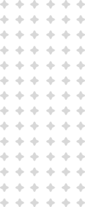 Conoce más Pattern V 1 123x300 1